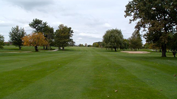 view of course green with trees